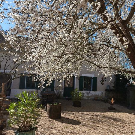 Le Cottage Des Sablons Pres Du Zoo De Beauval Saint-Romain-sur-Cher Exterior foto