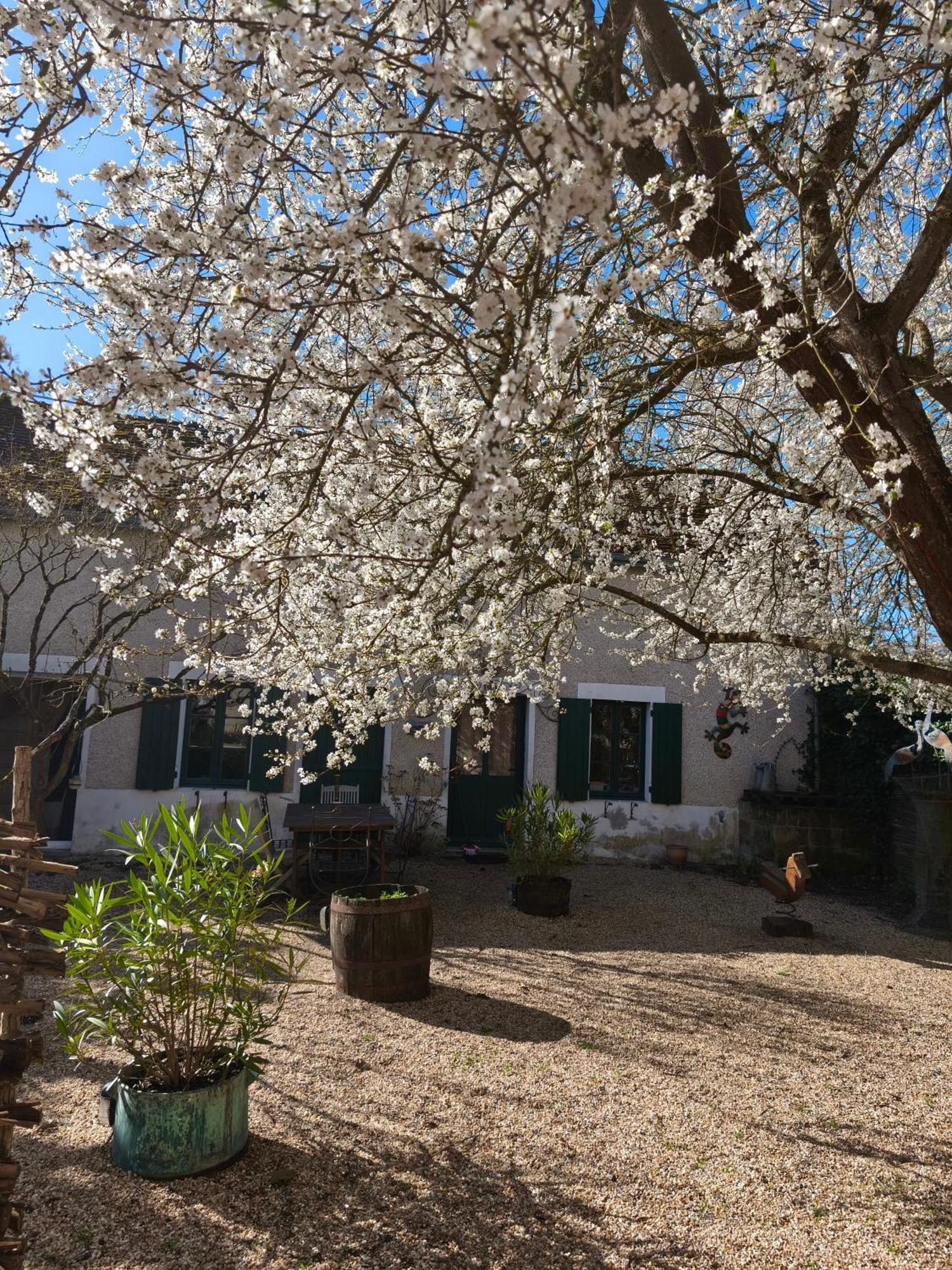 Le Cottage Des Sablons Pres Du Zoo De Beauval Saint-Romain-sur-Cher Exterior foto